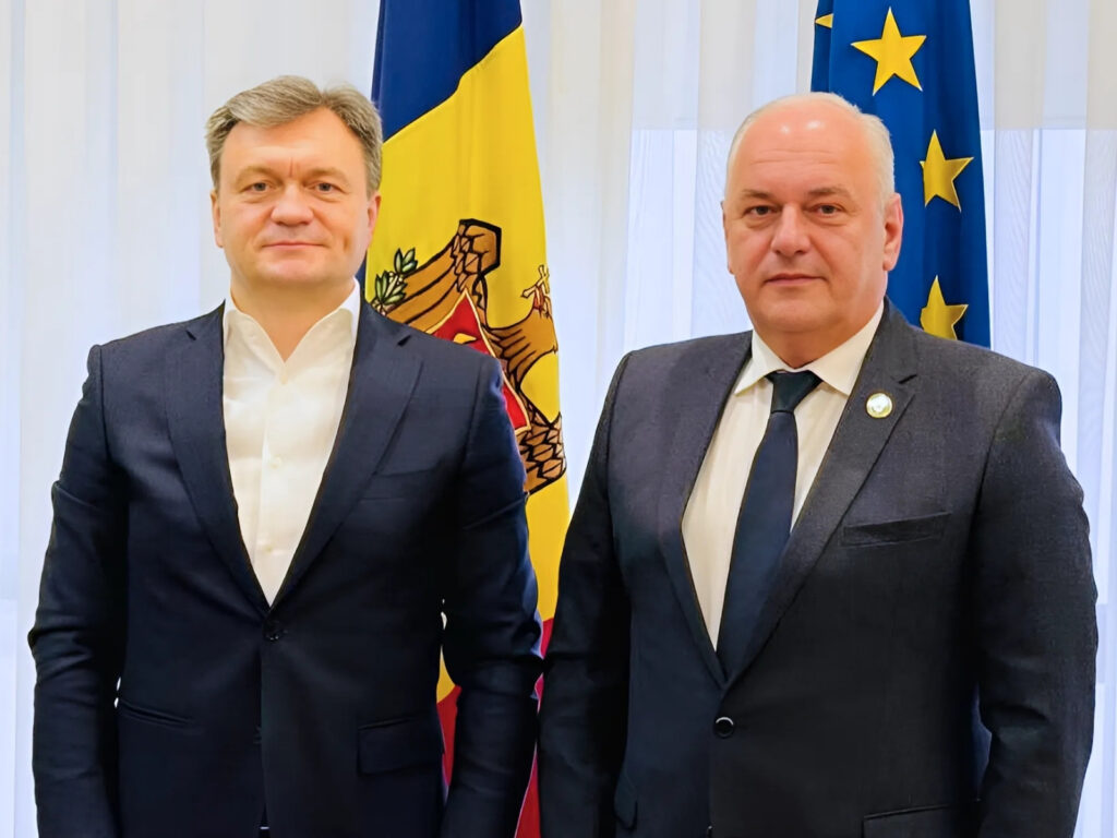 Дорін Речан, Паун Рогов